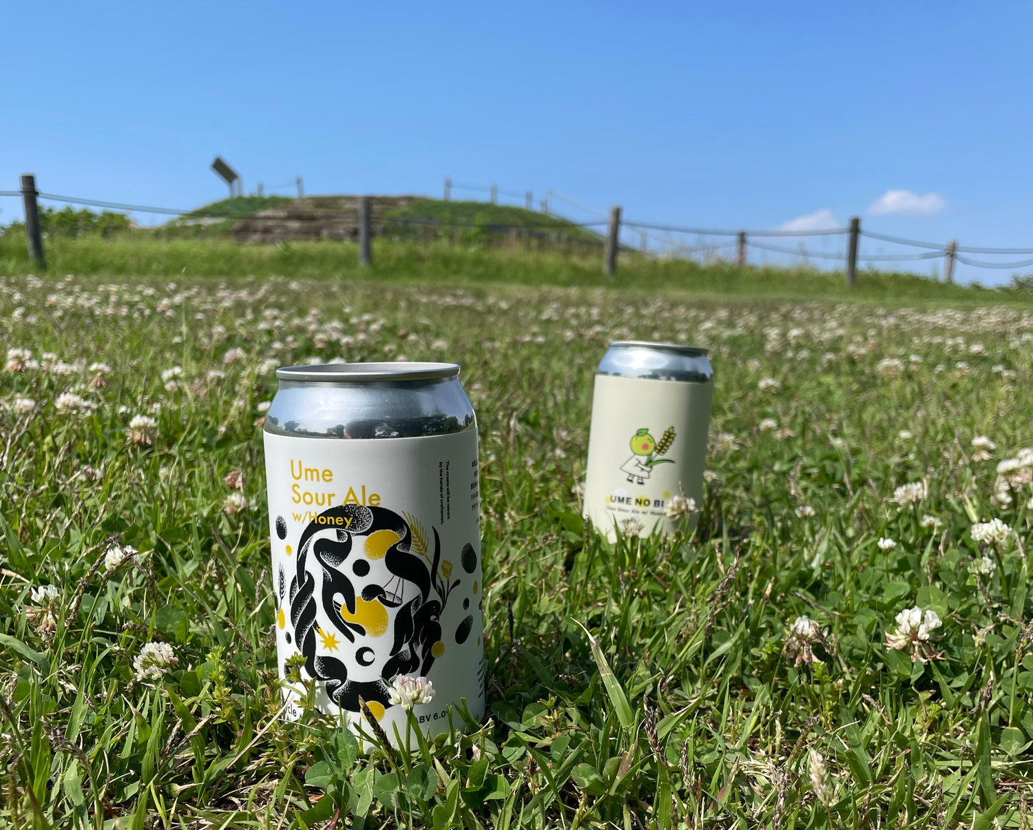 【Column】爽やかな梅の酸味かんじる「Ume Sour Ale w/ Honey」のはなし