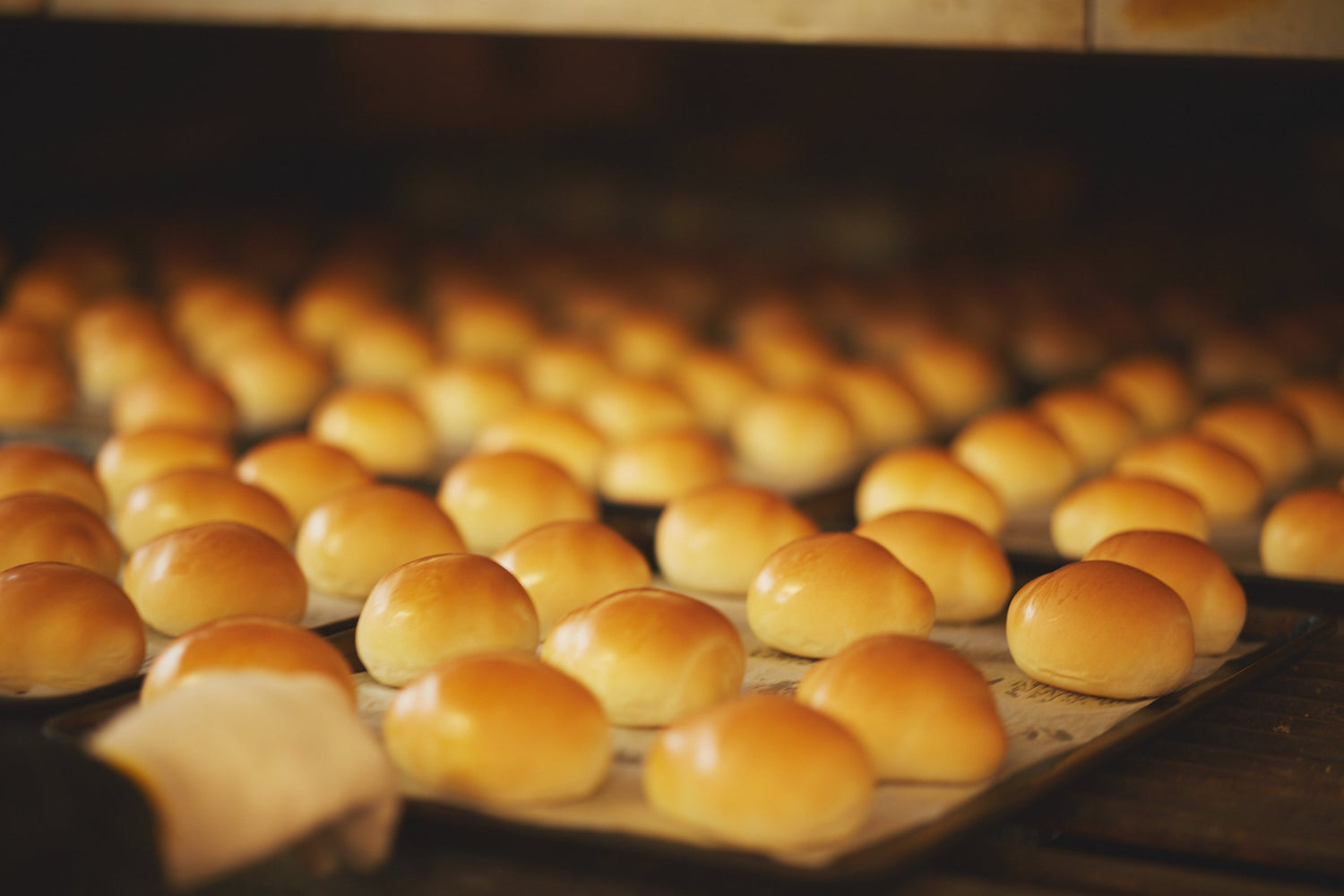 【column】パンの酵母って…!?