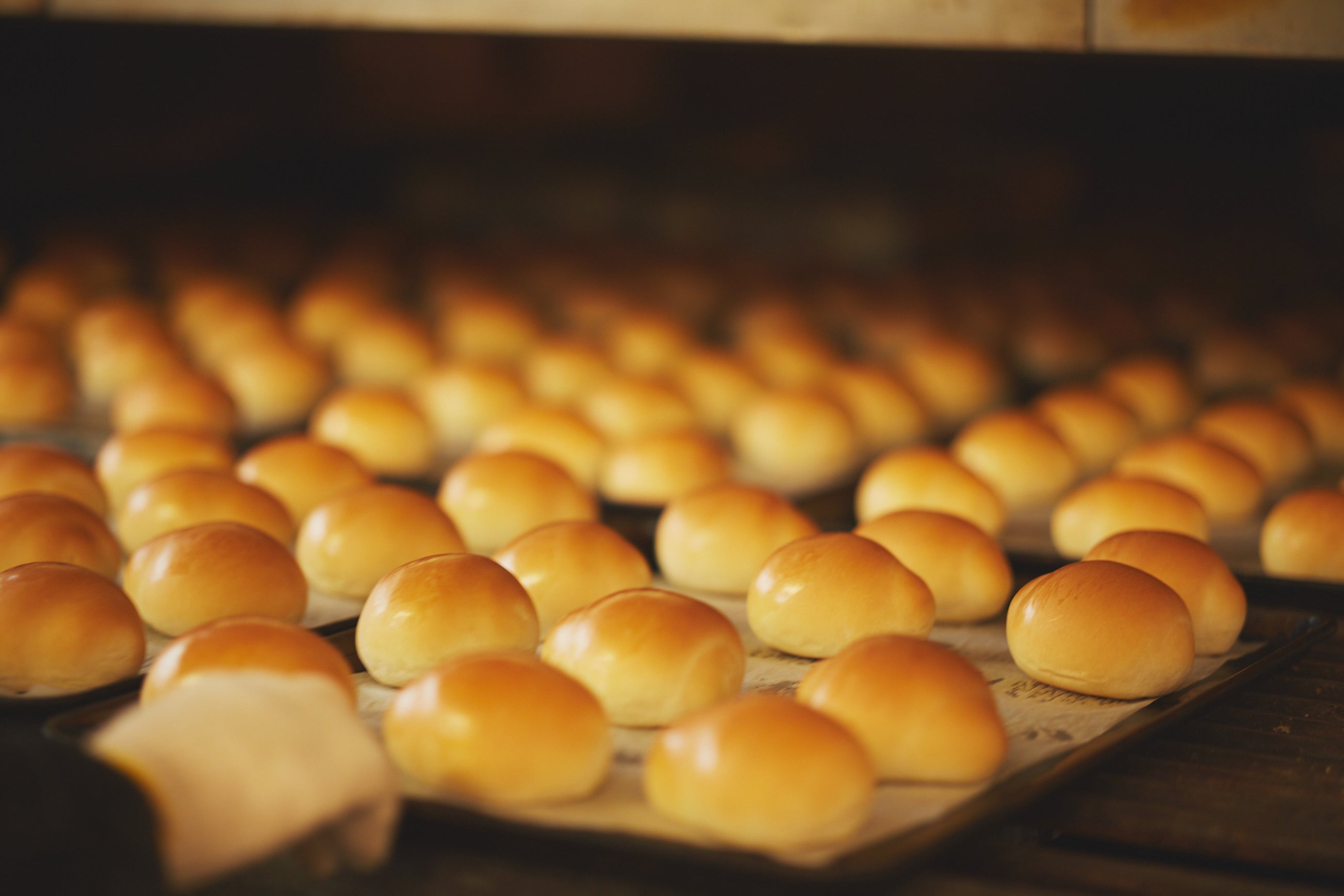 【column】パンの酵母って…!?