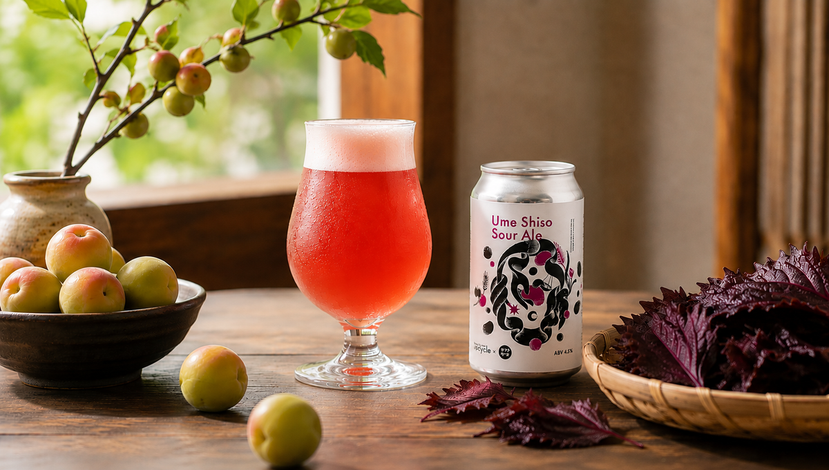 【リリース情報】Ume Shiso Sour Aleをリリース！