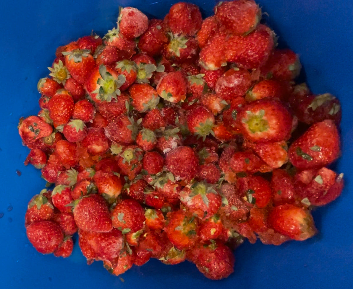 【column】イチゴを使用したRipe Strawberry Aleのちょっとした苦労話