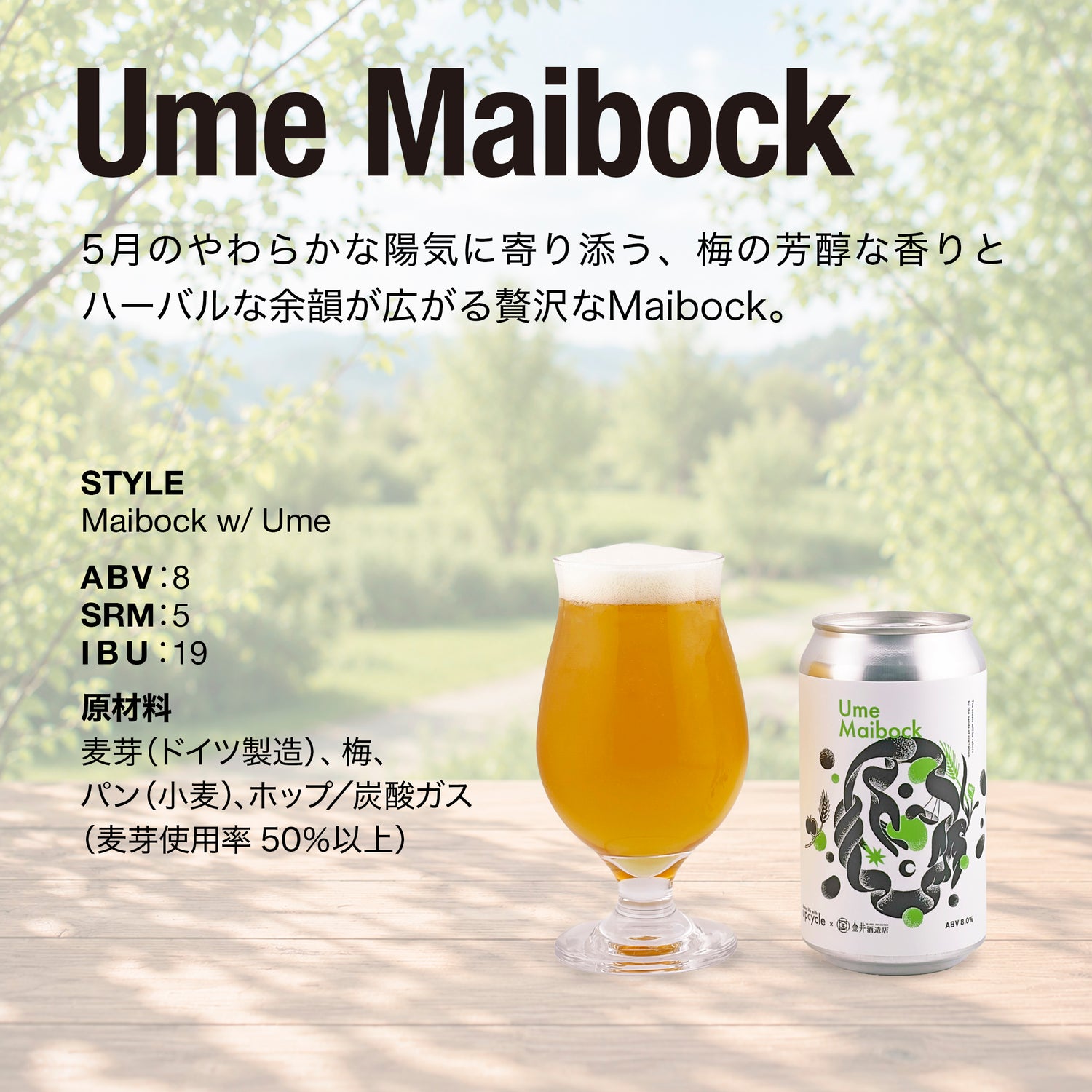 Ume Maibock