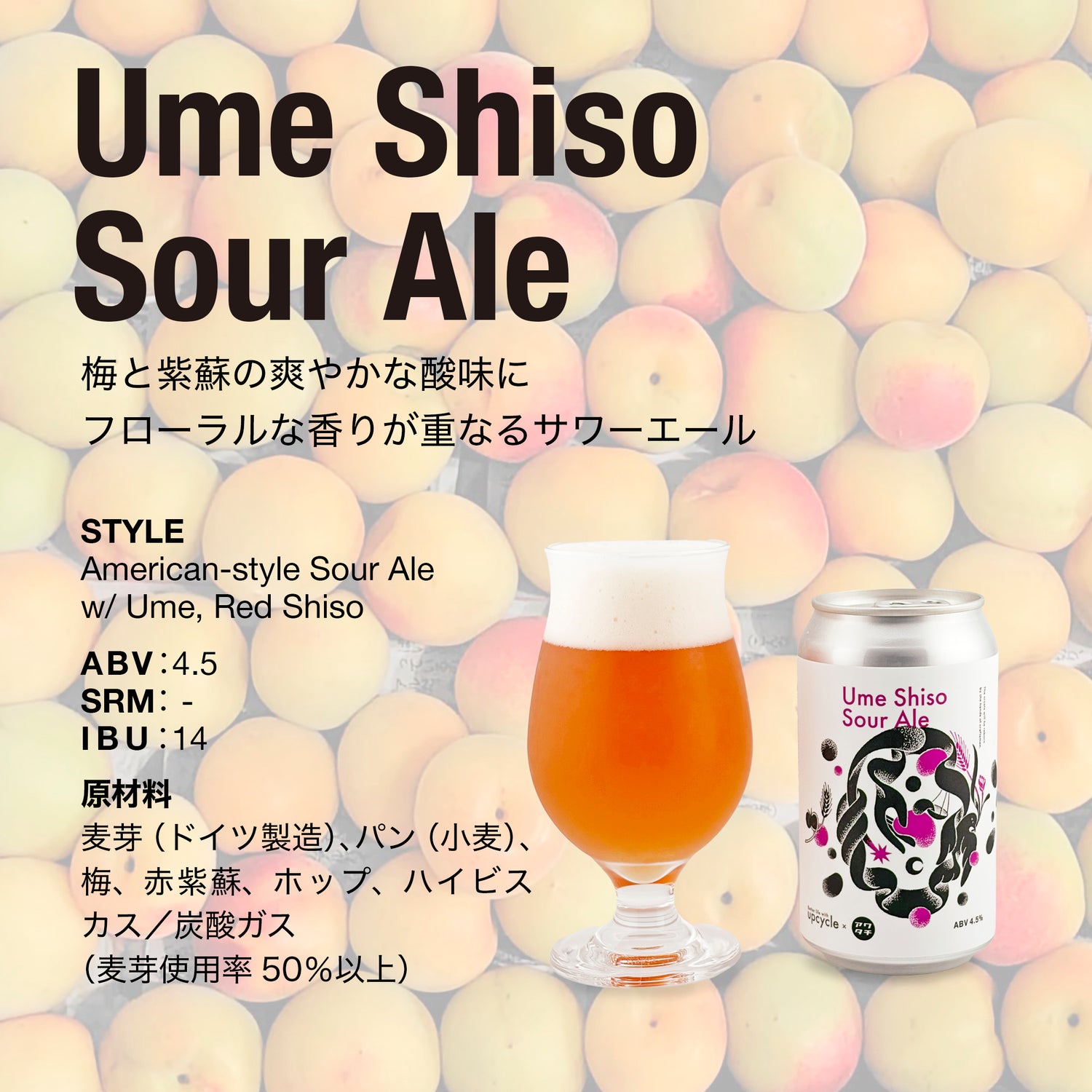 Ume Shiso Sour Ale